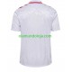 Camisola Dinamarca Homem Equipamento Segundo Euro 2024 Manga Curta